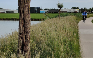 Oosthoutlaan Teylingen