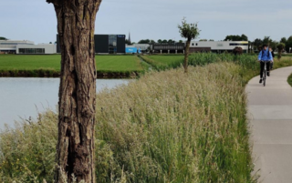 Maaien