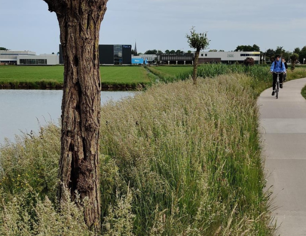 Oosthoutlaan Teylingen Oosthoutlaan Teylingen