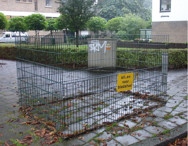 Bladkorven afbeelding Bladkorven afbeelding